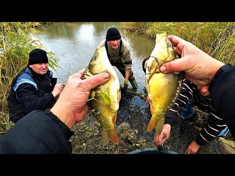 Видео: Проект "Аренда водоёма" 39 (ДР)