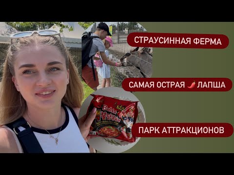 Видео: СТРАУСИННАЯ ФЕРМА САМАЯ ОСТРАЯ ЛАПША ПАРК АТРАКЦИОНОВ