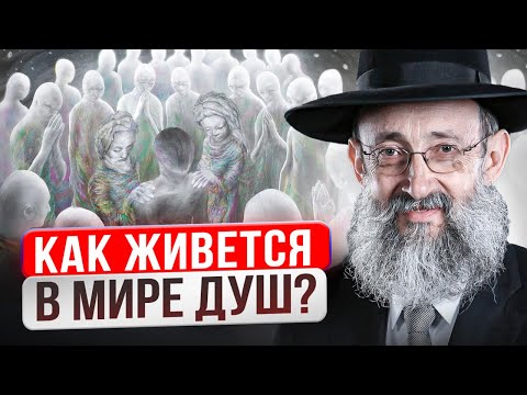 Видео: Как живется в мире душ? Рав Ашер Кушнир