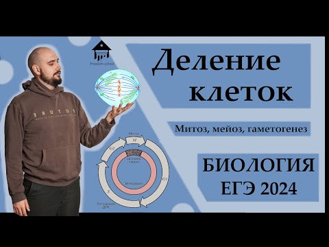 Видео: ДЕЛЕНИЕ КЛЕТОК. Митоз, Мейоз, Гаметогенез для ЕГЭ 2024 |ЕГЭ БИОЛОГИЯ|Freedom|