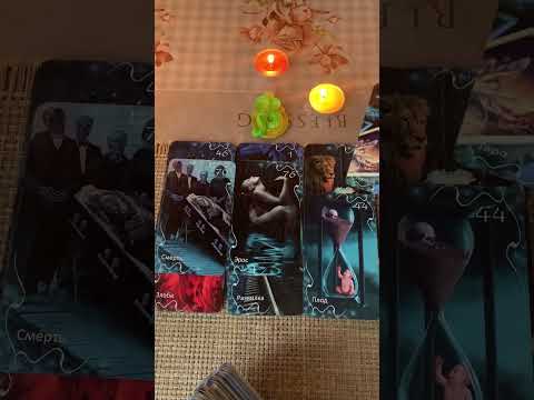 Видео: Диагностика🐍💚кто нападает