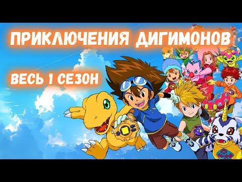 Видео: Полный обзор 1 сезона Дигимонов