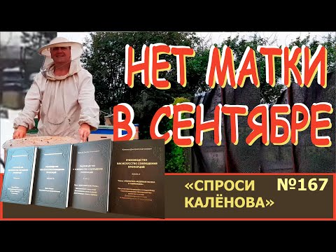 Видео: МАТКИ НЕТ!!! - В СЕНТЯБРЕ! Что Имеет Смысл Делать? Программа "Спроси Калёнова" № 167