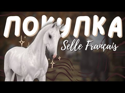 Видео: ПОКУПКА ЛОШАДИ ФРАНЦУЗСКИЙ СЕЛЬ | Selle Français Star Stable Online