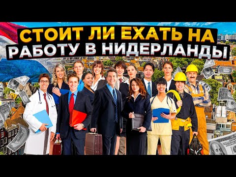 Видео: Стоит ли ехать на работу в Нидерланды