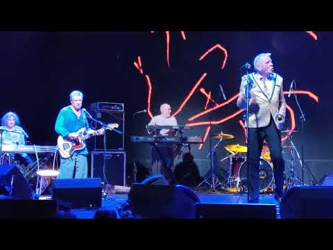 Видео: АукцЫон - Чайки @ Аврора, Санкт-Петербург 29.08.25