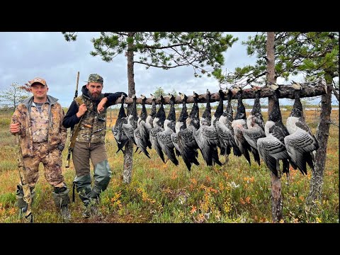 Видео: Охота на гуся, открытие осеннего сезона/40 лет на болоте, встреча с динозавром гусиной охоты