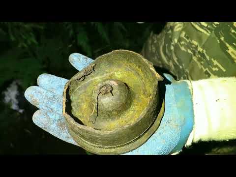 Видео: С 9 мая товарищи! Коп в лесу от 2019,.Александр(реставратор)№258