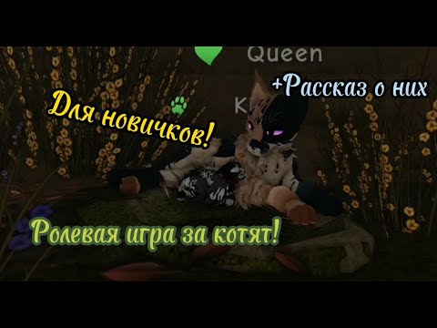 Видео: РОЛЕВАЯ ИГРА ЗА КОТЯТ **Рассказ о них ** КОТАХ ВОИТЕЛЯХ ROBLOX!