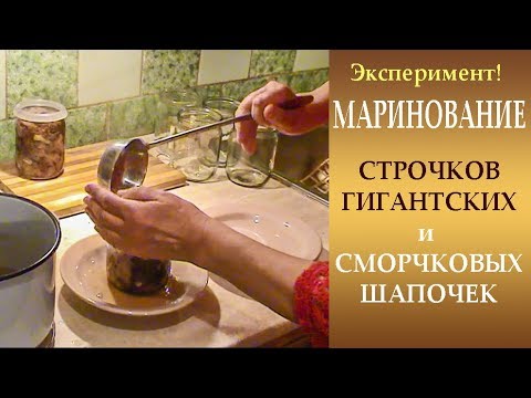 Видео: Эксперимент! Маринуем строчки и сморчковые шапочки.