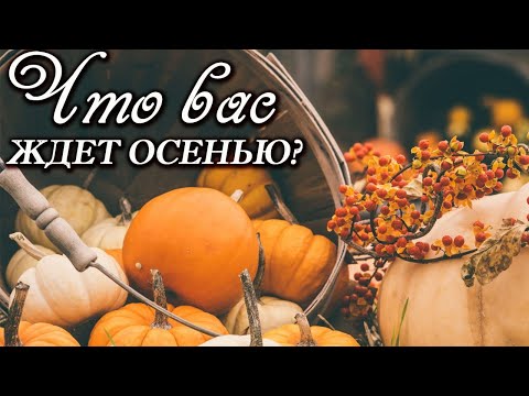 Видео: Что вас ждет осенью?