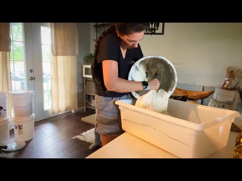 Видео: День из жизни мини-пекаря-одиночки: совмещаю закваску и жизнь мамы!