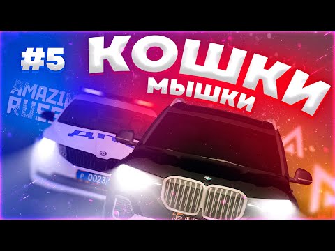 Видео: Развёл МЕНТОВ по РП и остался ПРАВ в Амазинг РП GTA CRMP [КОШКИ МЫШКИ 5]