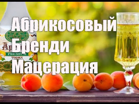 Видео: Абрикосовый мацерат   Абрикосовый бренди в домашних условиях  Видео 18+