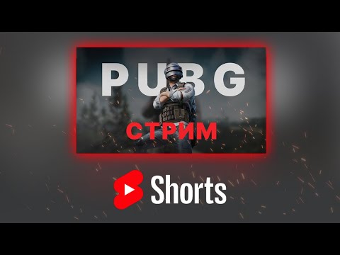 Видео: SHORTS || Топ 1 по пунктуальности #pubg #пубг #stream #nemixxx