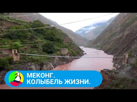 Видео: 🏝 ВЕЛИКОЛЕПИЕ ПРИРОДНОГО НАСЛЕДИЯ И ЯРКИЕ ВПЕЧАТЛЕНИЯ  🏝 Меконг. Колыбель жизни 🐾