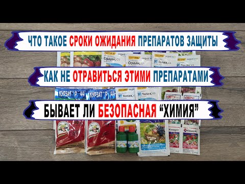 Видео: 🍇 СРОКИ ОЖИДАНИЯ НА ВИНОГРАДЕ! Как мы ТРАВИМ СЕБЯ ХИМИЕЙ. Даже НЕ ДУМАЙ ТАК ДЕЛАТЬ.