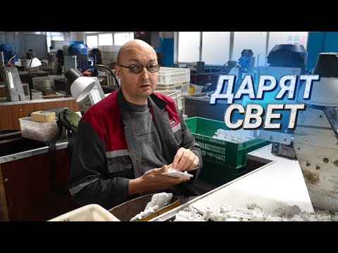 Видео: Розетки и выключатели руками незрячих II Светят на все 100 II «Светоприбор» отмечает юбилей