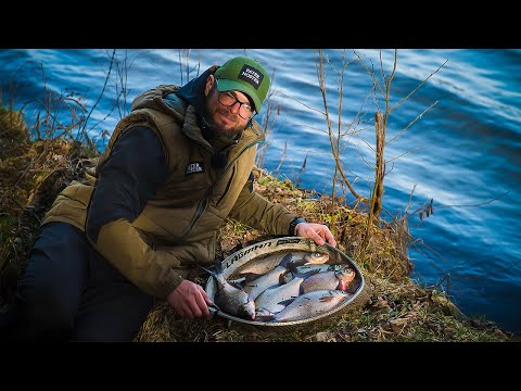 Видео: Капризные Мартовские ЛЕЩИ. Ловля с дальней дистанции. Патерностер. Серия 23.