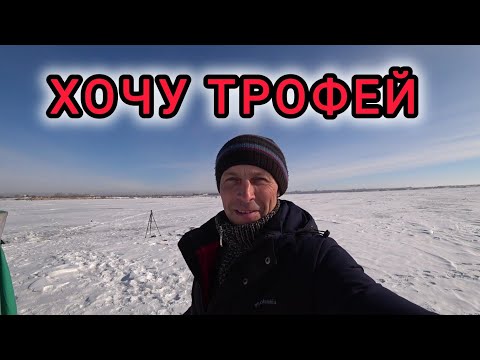 Видео: Рыбачу на Фёдоровском.