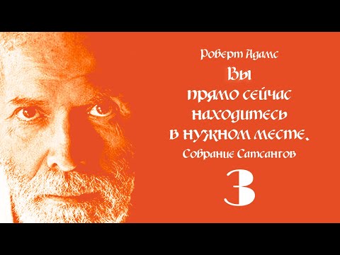 Видео: Роберт Адамс. Вы прямо сейчас находитесь в нужном месте. Собрание Сатсангов. Часть 3.