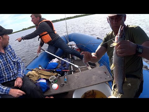 Видео: И опять НАДУБАСИЛИ  щуки по быстрому!