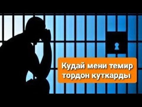 Видео: Өмүров Нурулан Макееивич.