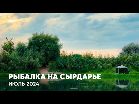 Видео: Наконец-то выбрался на рыбалку с ночёвкой! Сырдарья, Июль 2024. Отдых на природе в дали от города.