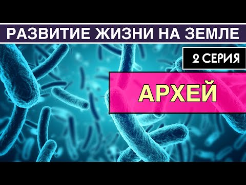 Видео: АРХЕЙ. Развитие жизни на Земле. 2 серия | Как появилась жизнь на Земле [NEW]
