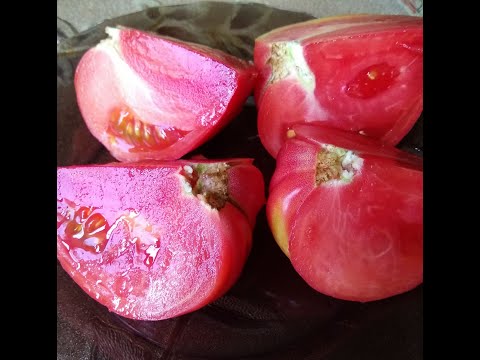 Видео: Самые урожайные томаты прошлого года. Подмосковье.