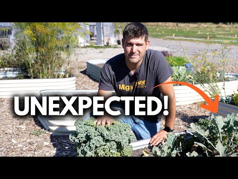 Видео: Какой неожиданный успех!