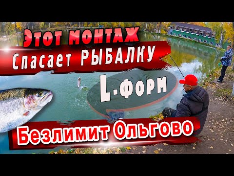 Видео: Безлимит Ольгово | Ловля Форели | Форель на Донку