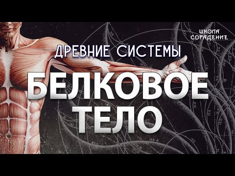 Видео: Белковое тело #белковоетело #древниесистемы #человек #Гарат #школаСорадение