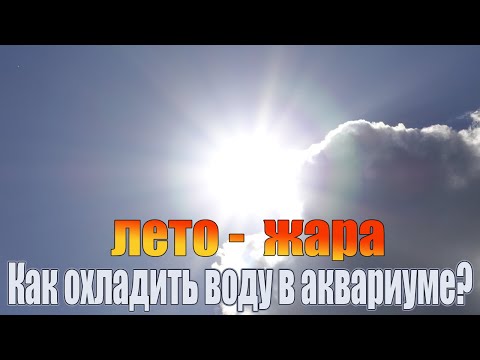 Видео: Как летом в жару охладить воду в аквариуме. И зачем вообще это нужно делать