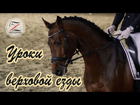 Видео: Уроки верховой езды в КСК Звездный