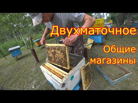Видео: ДВУХМАТОЧНОЕ! Ставим общие магазины  РАСШИРЕНИЕ!