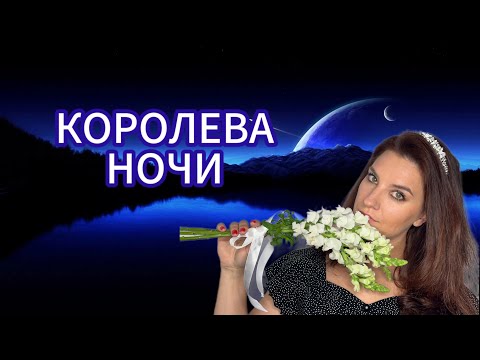 Видео: ТУБЕРОЗА-КОРОЛЕВА НОЧИ! ПАРФЮМЫ С ТУБЕРОЗОЙ! Lancôme Poeme, Eisenberg Rouge Noir