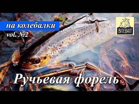 Видео: Ловля форели апстримом на колебалки. Vol.2.