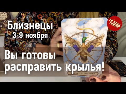 Видео: БЛИЗНЕЦЫ  Вы готовы расправить крылья! | Неделя 3-9 ноября 2025 таро прогноз