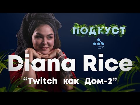Видео: DianaRice: Хейтить в наше время — это стиль / ПОДКУСТ