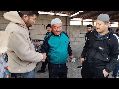 Видео: АСАКА КАБУТАР БОЗОРИ 31 10 2025 Й #кабутар #каптар #голуби #kaptar #kabootar #pigeonlovers #india 