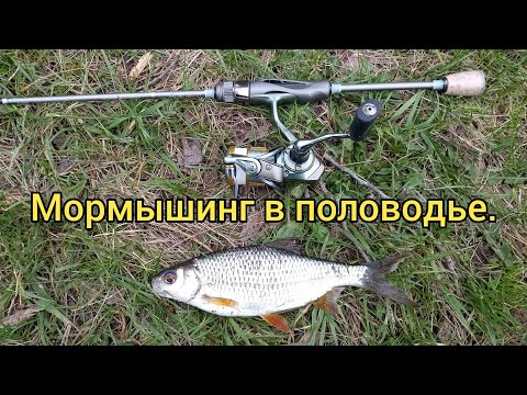 Видео: Мормышинг во время половодья c Dayo Liropus.