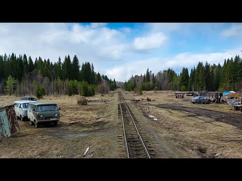 Видео: Уральская тайга из окна Алапаевской УЖД