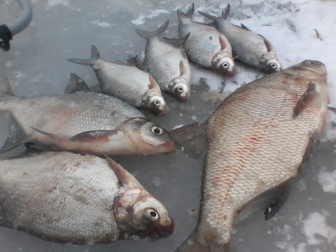 Видео: ЗА КРУПНЫМ ЛЕЩЕМ НА СУРСКОЕ ВОДОХРАНИЛИЩЕ.ДОБРАТСЯ ЛЮБОЙ ЦЕНОЙ.ДОРОГА ПОСЛЕ СНЕГОПАДА