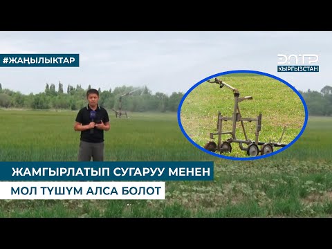 Видео: ЖАМГЫРЛАТЫП СУГАРУУ МЕНЕН МОЛ ТҮШҮМ АЛСА БОЛОТ