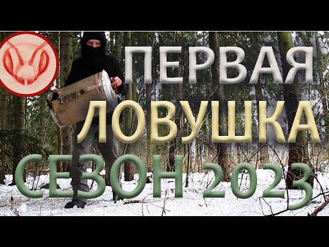 Видео: Первая ловушка на пчёл сезона 2023. Начинаю установку ловушек и поиск мест, где буду ловить пчёл