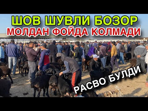 Видео: БИЗ КУТМАГАНДИК! 5 ОКТЯБРЬ КУЙ КУЗИ НАРХЛАРИ 2025. КАШКАДАРЁ КАРШИ КАРВОН МОЛ БОЗОРИ НАРХЛАРИ 2025.