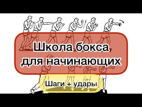 Видео: Школа Бокса.Шаги+удары.Бокс для начинающих