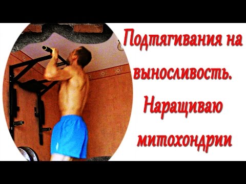 Видео: СЕЛУЯНОВ. ПОДТЯГИВАНИЯ. НАРАЩИВАЮ МИТОХОНДРИИ НА МЫШЦЫ СПИНЫ И ПРЕДПЛЕЧЬЯ.