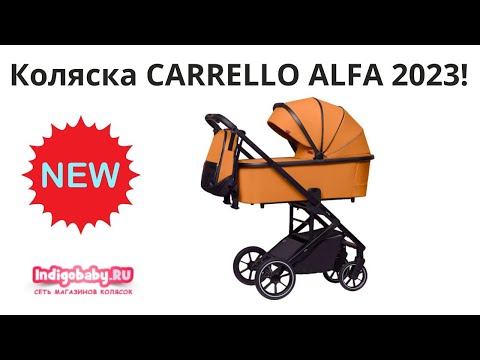 Видео: Коляска 2 в 1 Carrello Alfa CRL-6507 Новинка 2023! Новейший видеообзор, не пропусти!